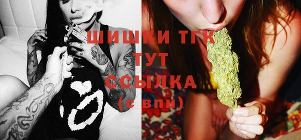 стаф Абинск