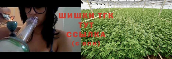 стаф Абинск