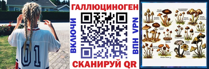 Псилоцибиновые грибы Psilocybine cubensis Алейск